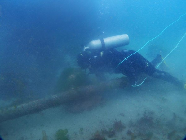Diver below Diver below