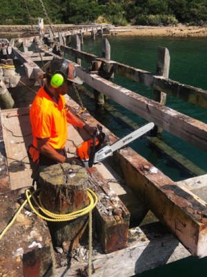 Wharf Demolition Matiu/Somes Island, Wellington