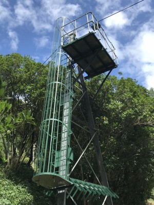Flying Fox Flying Fox